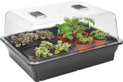 Steward Large Heated Propagator - 52cm - Default Title - DiscountHydro.com - 44.90 - Environment Control > Heaters, Pots & Trays > Propagation Trays, Systems