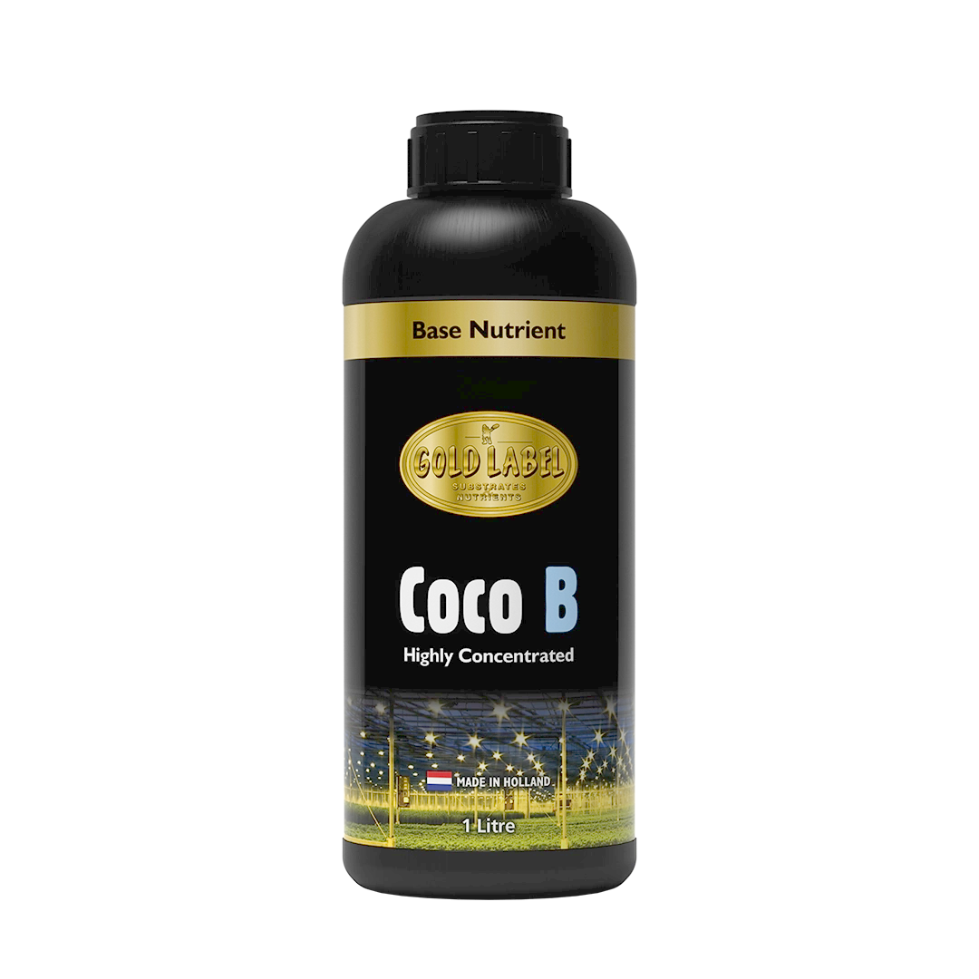 Gold Label: Coco A&B