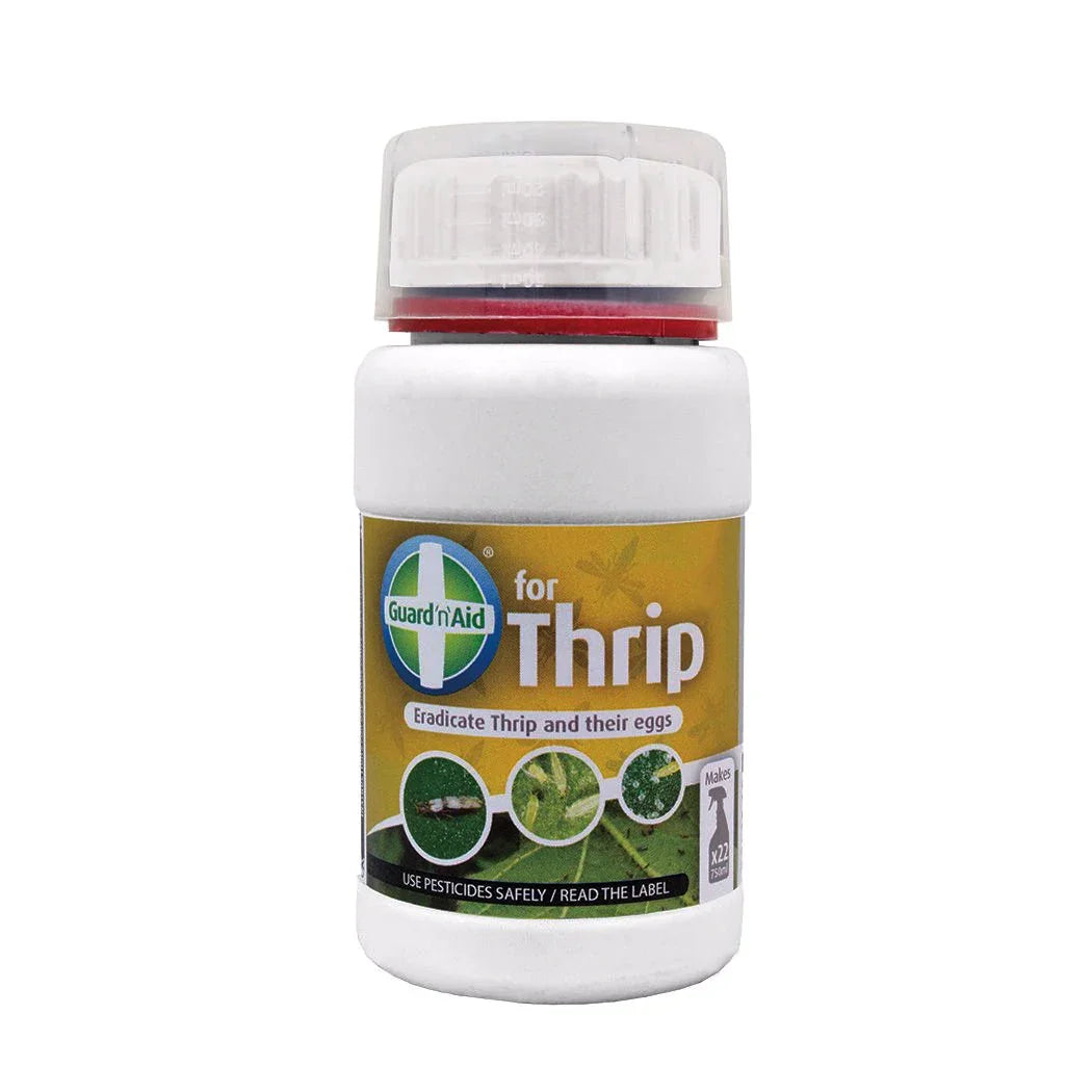 Kill Thrips (adults, eggs & larvae) with Guard 'n' Aid Thrips. It's Pyrethrum based so is safe on edible pants. It works