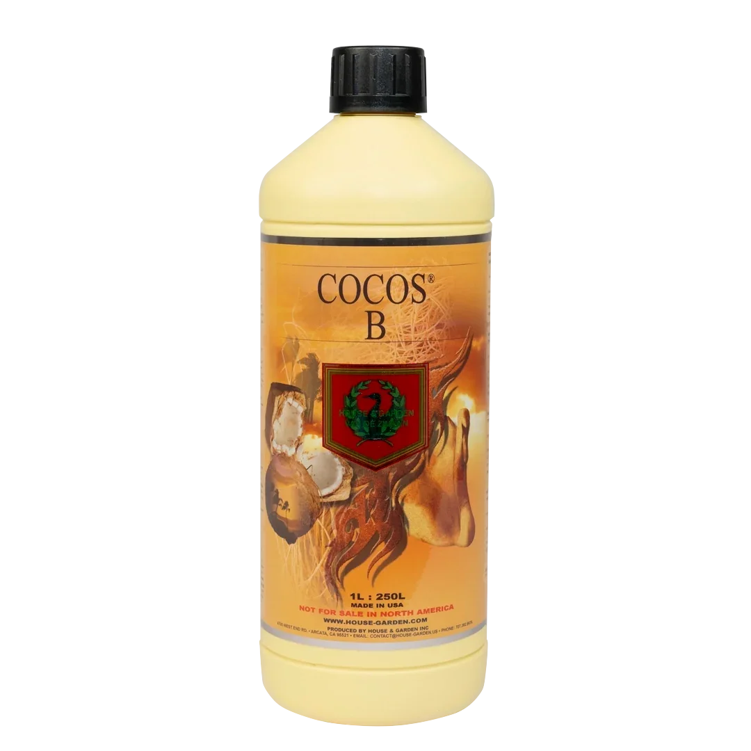 House & Garden: Cocos A&B