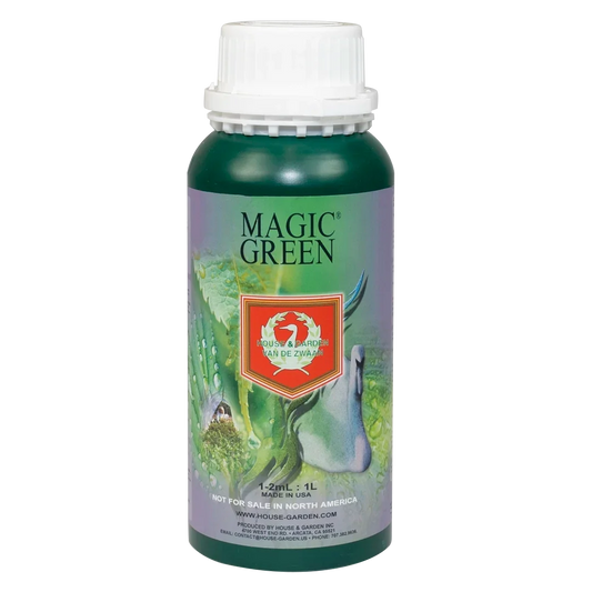 House & Garden: Magic Green