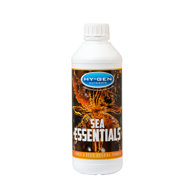 Hy-Gen: Sea Essentials