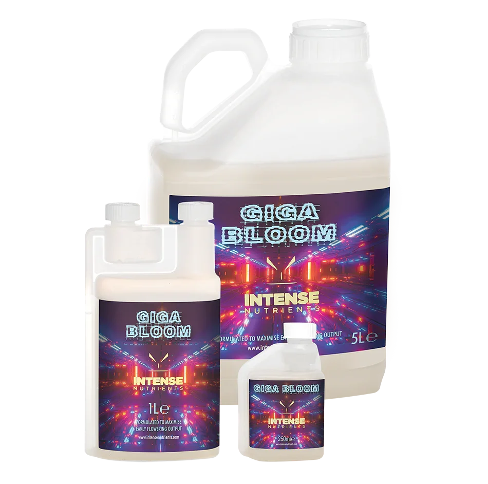 An Advanced Early Flowering Booster Intense Nutrients Giga Bloom is an exceptional early flowering booster which increases