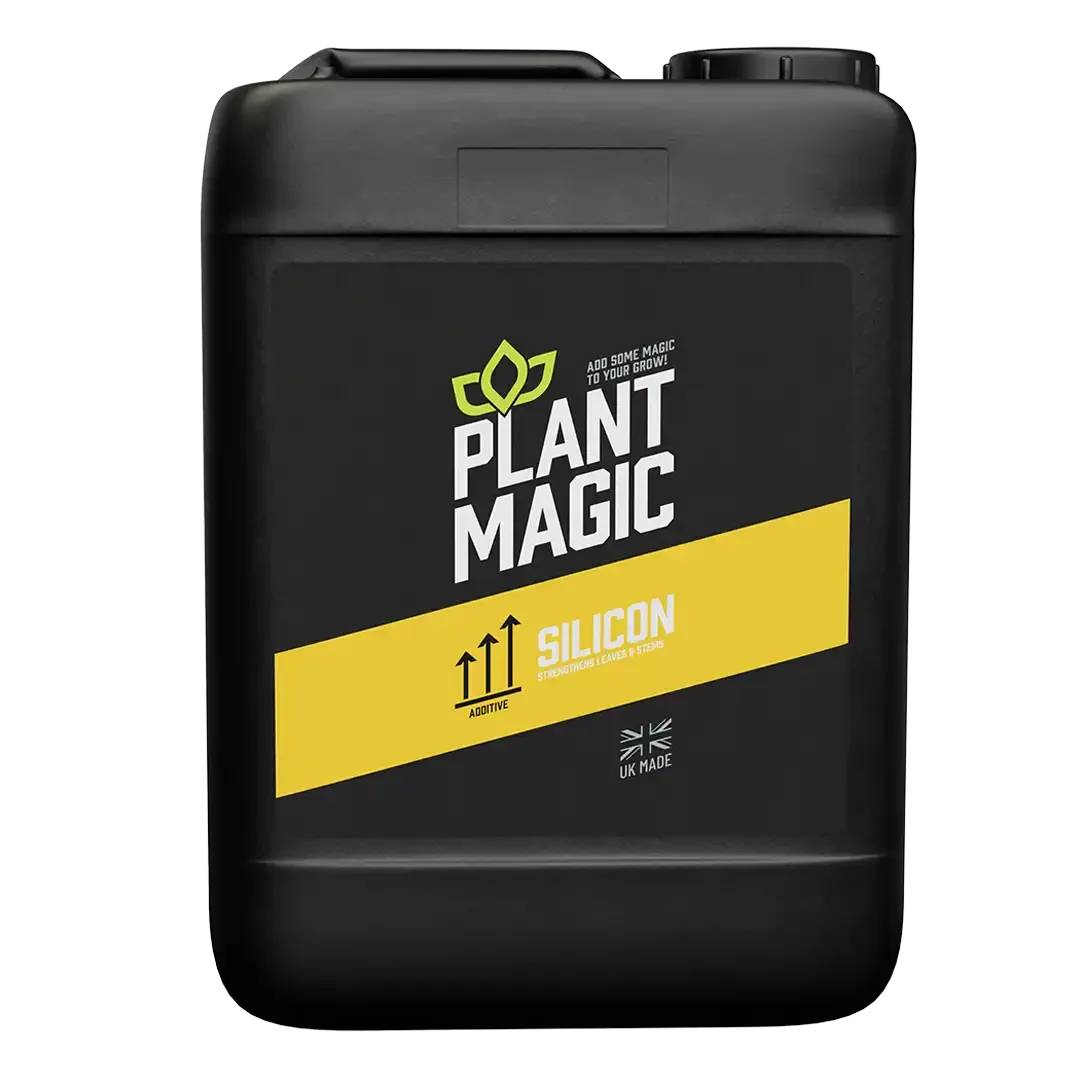 Plant Magic: Silicon