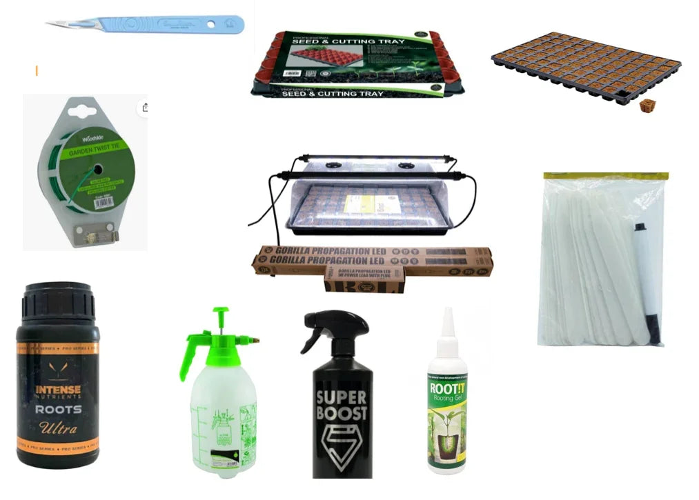 Each Pack Contains: 3 Scalpels for taking Cuttings Seed Tray of your Choice (Please select your preference) Twist Wire for