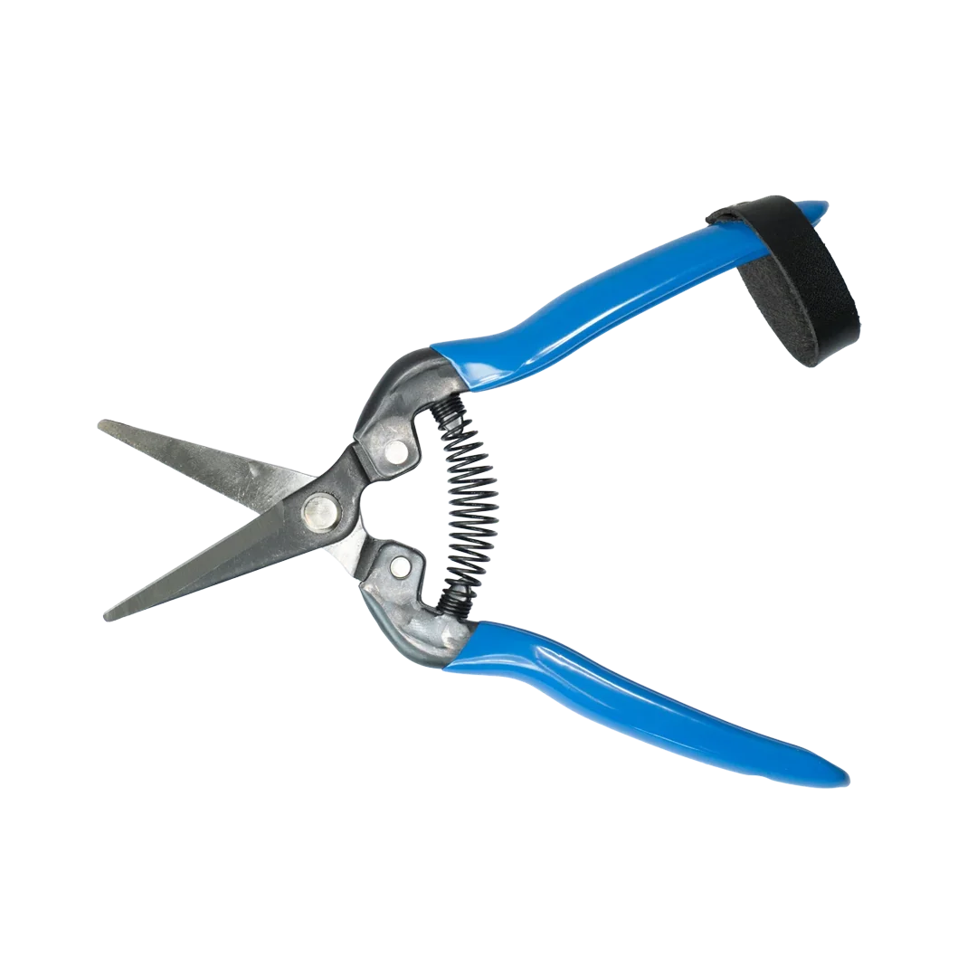 Schere Snips