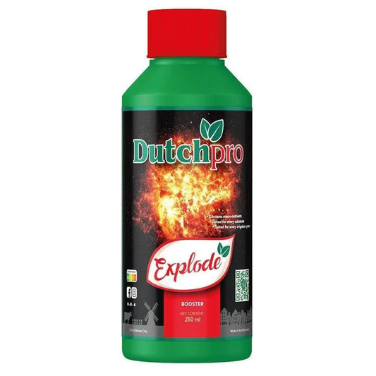 Dutchpro Explode