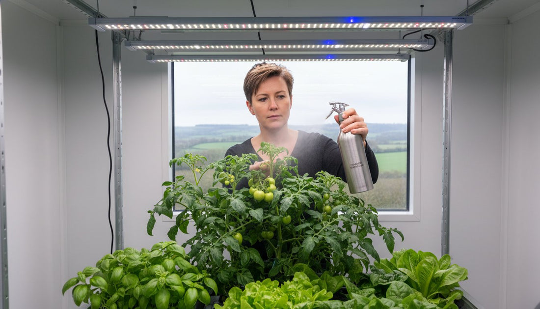 Organic Pest Control for Edible Plants: Safe & Effective Indoor Solutions