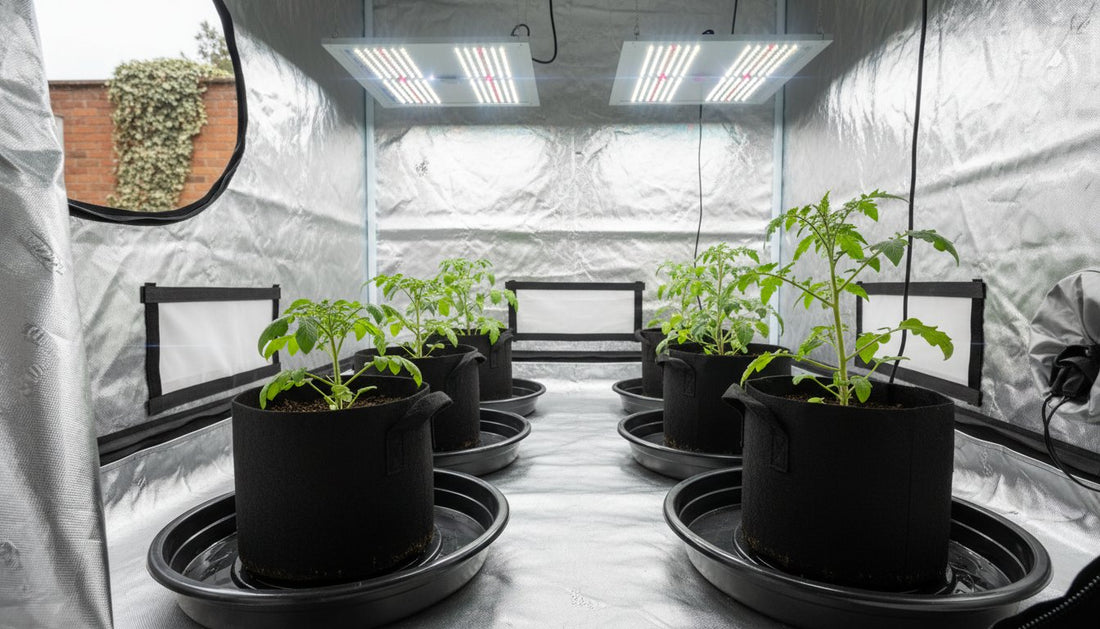 Plant Saucers and Trays: The Essential Guide for UK Indoor Growers (2026)