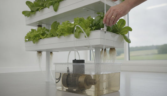 Hydroponic nutrient film technique (NFT) system growing lettuce with water pump reservoir