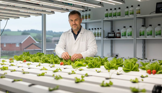 Scientist in a white lab coat tending to lettuce in a hydroponic indoor farm system