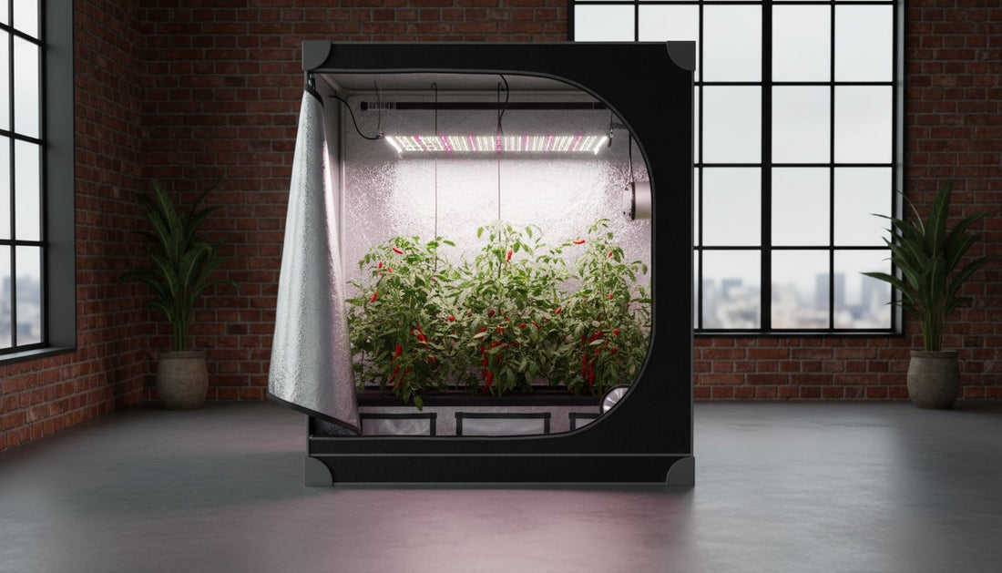 Hydroponic grow tent with LED lighting and chili plants in a brick room