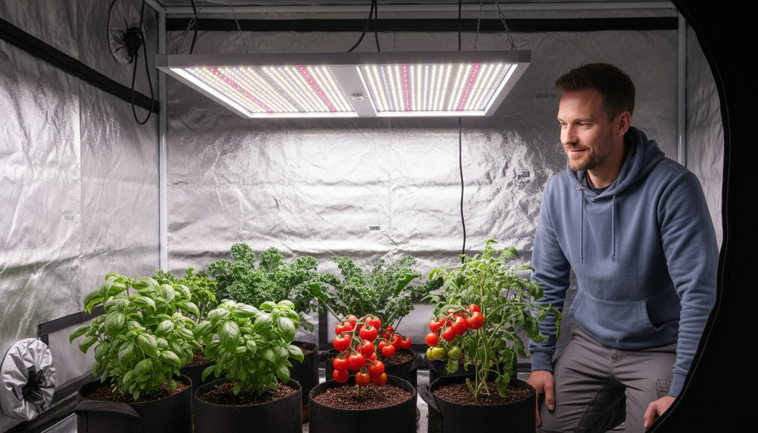LED Grow Lights UK: The Ultimate 2026 Buyer's Guide