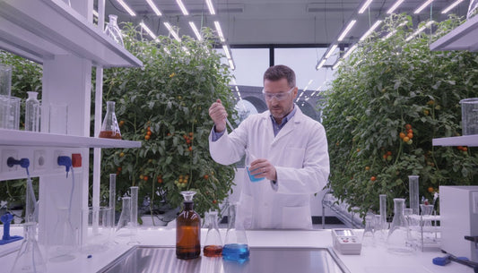 A & B Nutrients Buying Guide: How to Choose the Best Feed for Your Grow in 2026