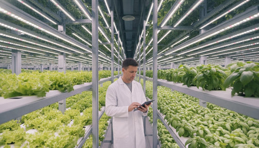 Scientist in a lab coat using a tablet in a hydroponic vertical farm with LED lighting.