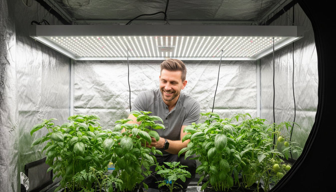 A smiling man tending to basil plants inside a hydroponic grow tent with LED lighting.