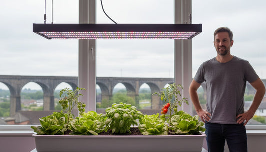 A man standing next to indoor hydroponic plants growing under a full-spectrum LED grow light.