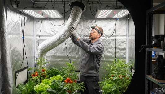 A man adjusting an aluminum ventilation duct in a hydroponic grow tent with LED lights and plants.