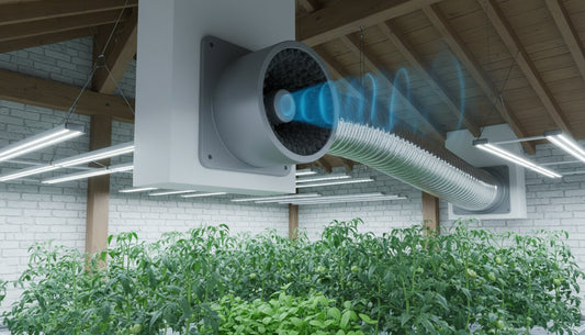 Industrial carbon filter and flexible ducting installed in a hydroponic grow room with plants.