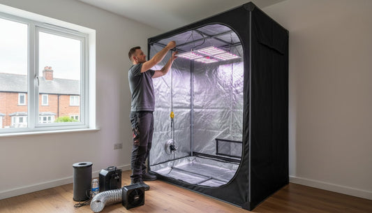 Man setting up an LED grow light inside a reflective hydroponic grow tent