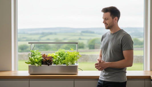 Man standing by a window with a modern indoor hydroponic garden growing fresh lettuce