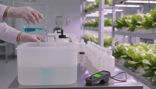 How to Mix Hydroponic Nutrients Correctly: A Step-by-Step Guide