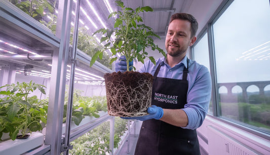 Coco Coir for Hydroponics: The Ultimate 2026 Grower’s Guide