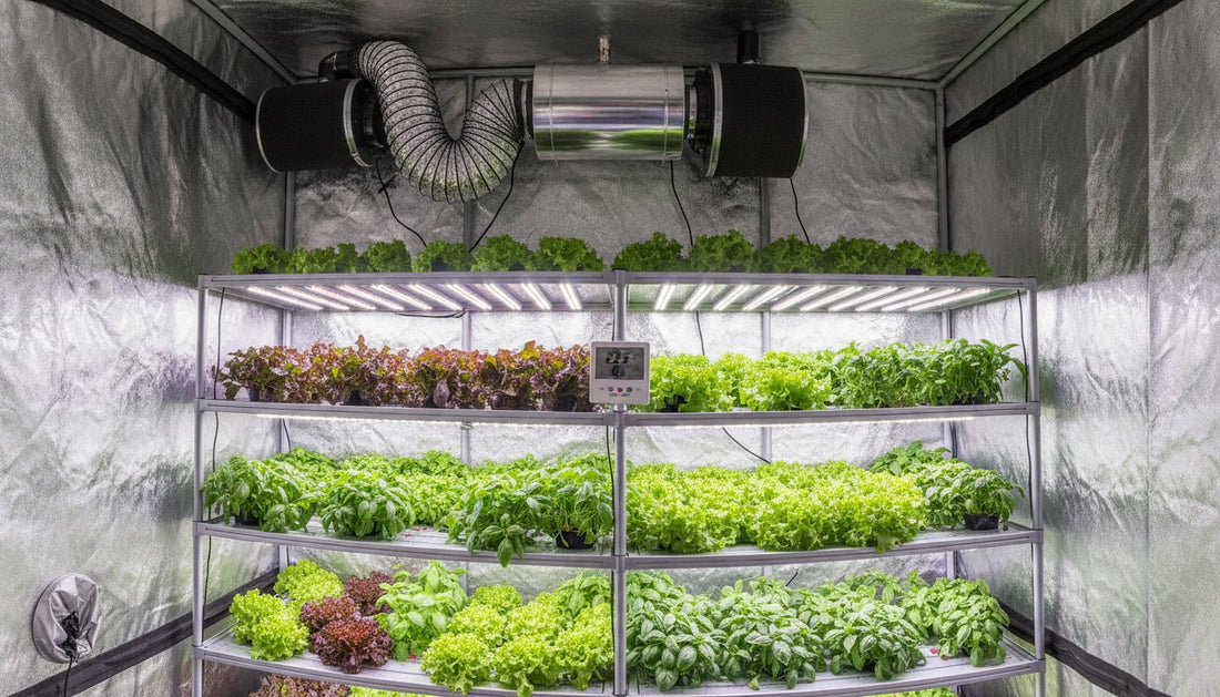 Guide to Extraction Fans with Filters for Grow Rooms