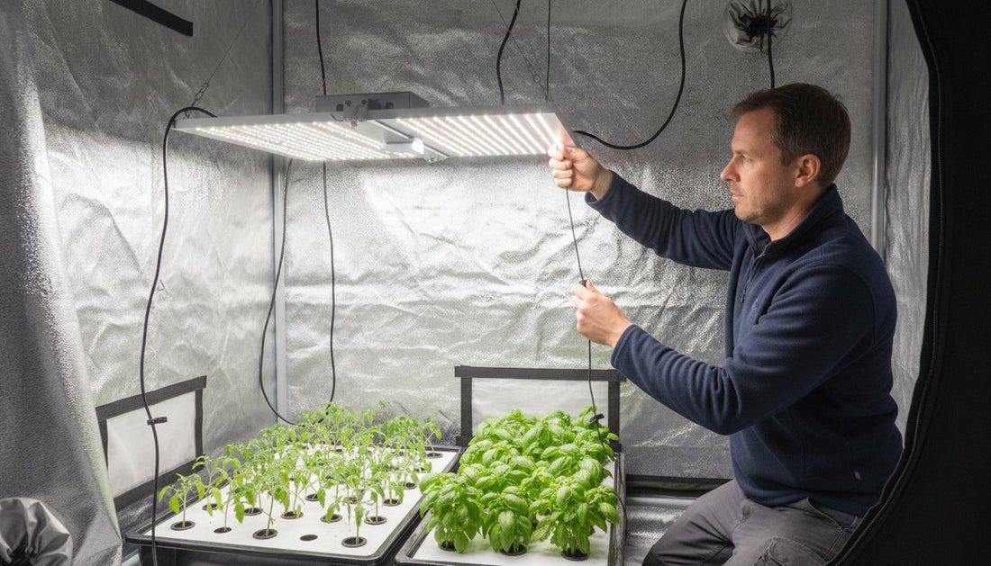How to Set Up Grow Lights in a Tent: The 2026 UK Beginner’s Guide