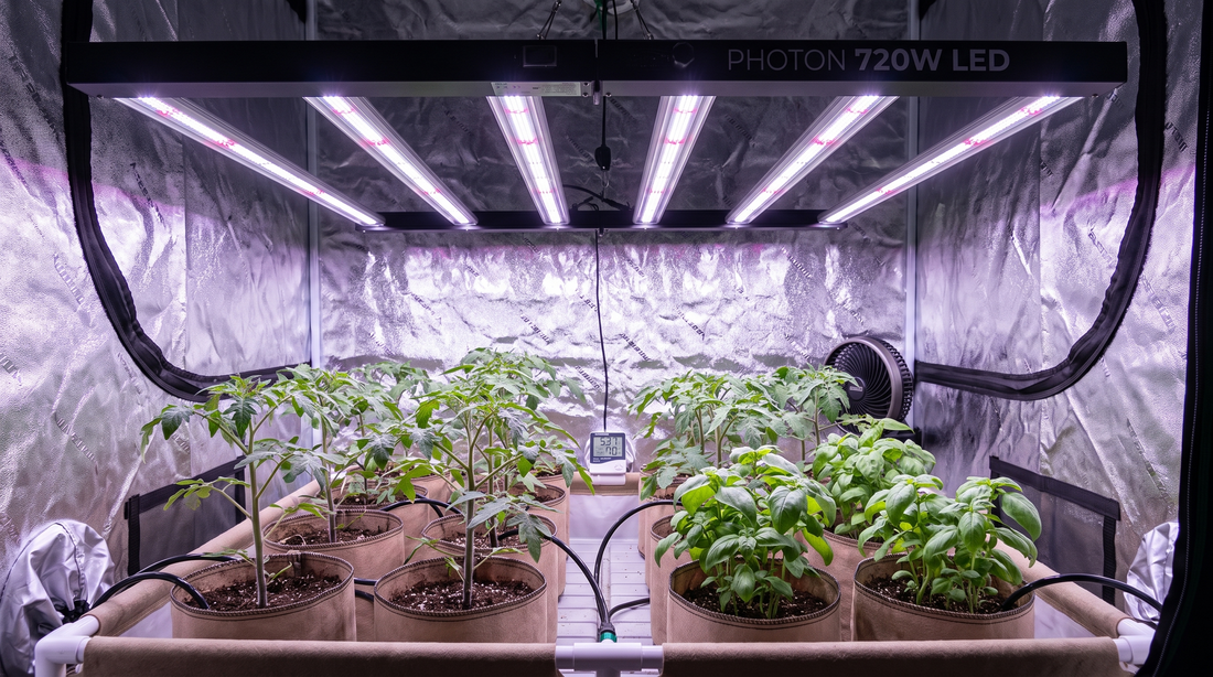 Photon 720W LED grow light mounted above seedlings in a small hydroponic grow tent