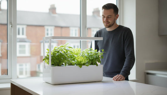 Small Hydroponic System UK: The 2026 Space-Saving Guide