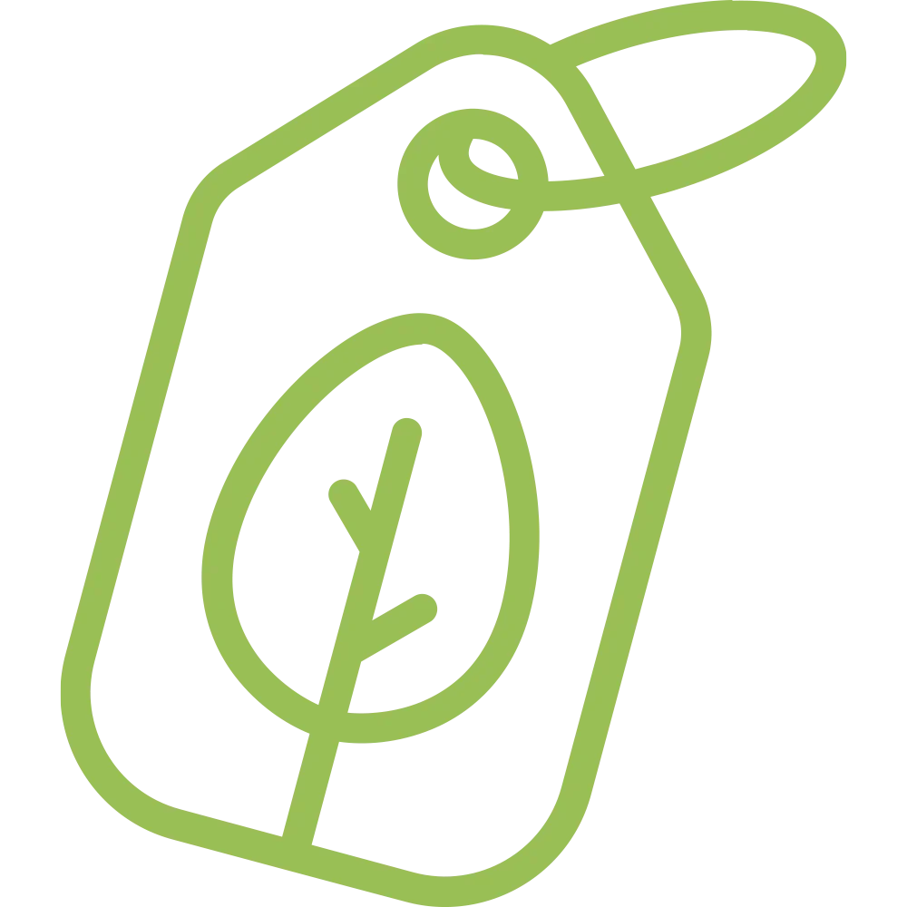 Green outline icon of a price tag with a leaf symbol