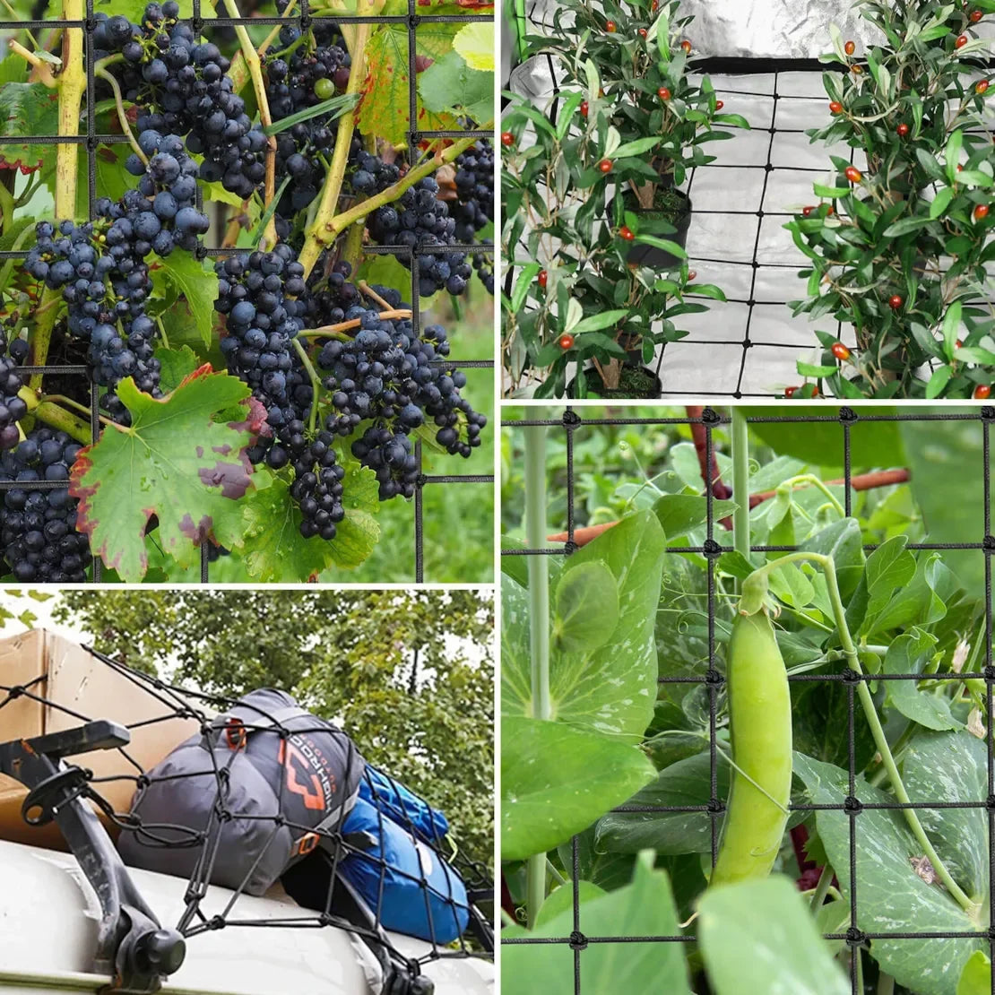 Trellis Netting - 0.6M x 1.2M (2ft x 4ft) With 4 Hooks - DiscountHydro.com - 9.99 - Tools and Accessories, Tools and Accessories > Plant Supports, Vivosun