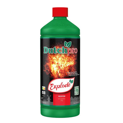 Dutchpro Explode