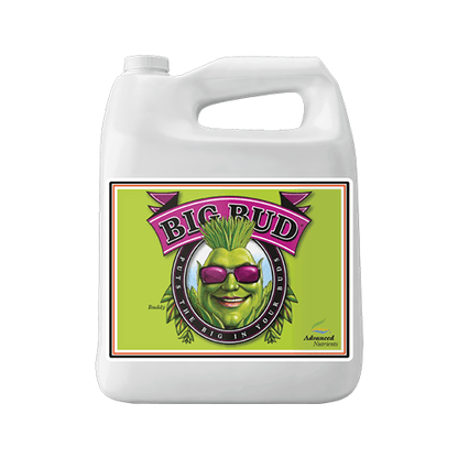 Advanced Nutrients Big Bud - 5 Litre image