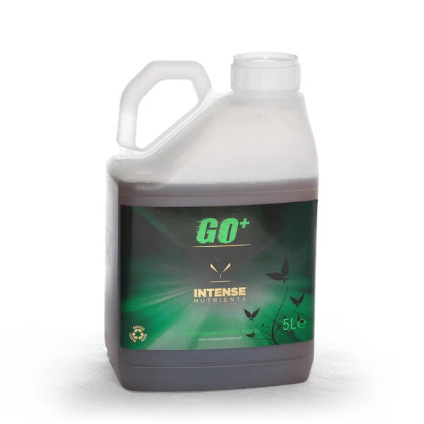 IN Go+ 5 Litre image 0