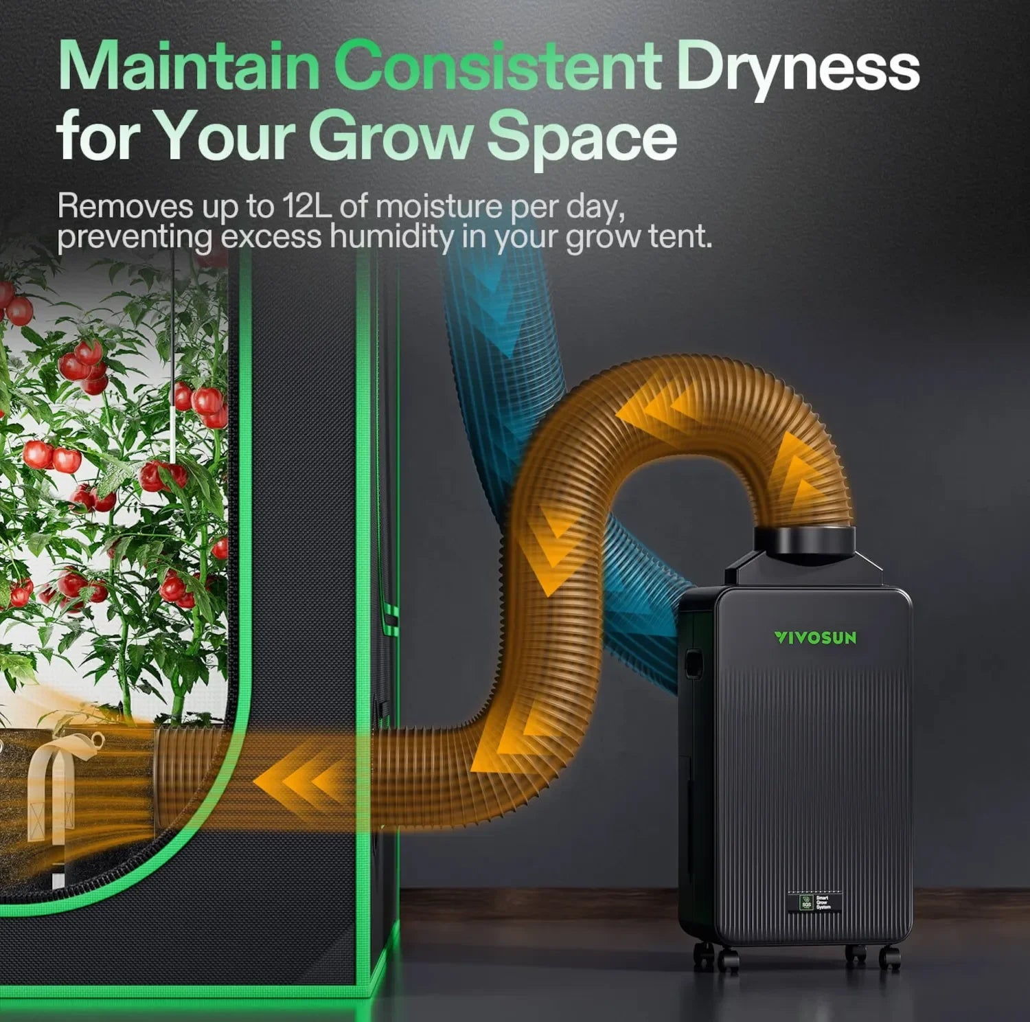 D12 AeroDrain Dehumidifier - Default Title - DiscountHydro.com - 285.00 - Environment Control > Dehumidifiers, Vivosun