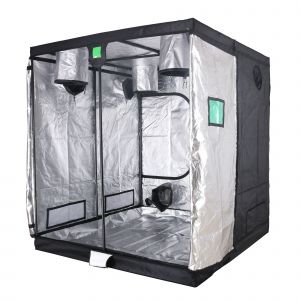 BudBox Titan Tents - 2.0m x 2.0 x 2.0 (Titan 1) Silver - (Set) (05625) - DiscountHydro.com - 308.00 - BudBox, BudBox Pro, Grow Tents > Grow Tents
