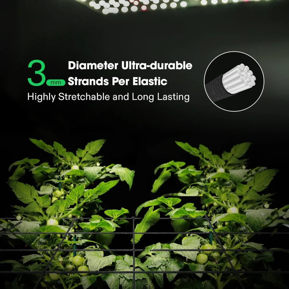 Trellis Netting - 0.6M x 1.2M (2ft x 4ft) With 4 Hooks - DiscountHydro.com - 9.99 - Tools and Accessories, Tools and Accessories > Plant Supports, Vivosun