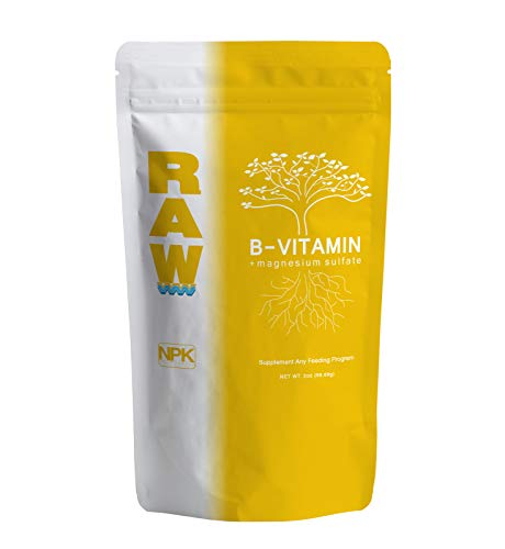 RAW B Vitamins - 2LB