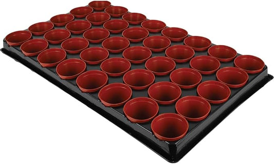Seed and cutting tray - 40 x 6cm pots