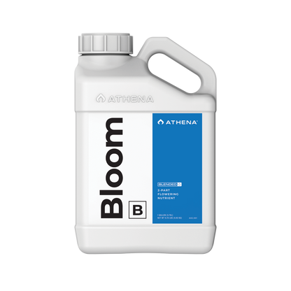 Athena Blended Line Bloom A&B