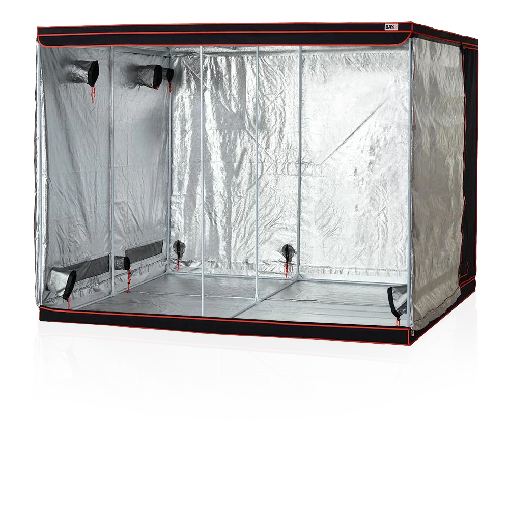 Introducing BAY6 Grow Tents Affordable Solutions for Horticultural Enthusiasts BAY6 offers an outstanding range of grow