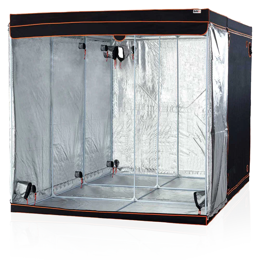 Introducing BAY6 Grow Tents Affordable Solutions for Horticultural Enthusiasts BAY6 offers an outstanding range of grow
