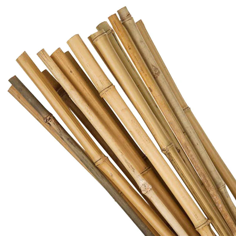 Bamboo Stakes Support your plants naturally with durable, long-lasting bamboo stakes designed for gardens, greenhouses, and