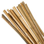 Bamboo Stakes Support your plants naturally with durable, long-lasting bamboo stakes designed for gardens, greenhouses, and
