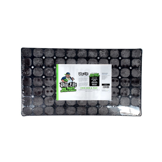 Plug Life Big Phat Mother Plugger - 77 Kube