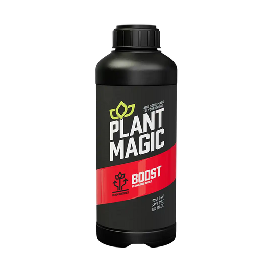 Përmirësimi i Magjisë së Bimëve