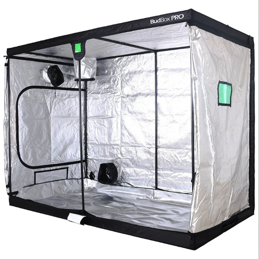 BudBox Pro grow tent with reflective interior on a white background