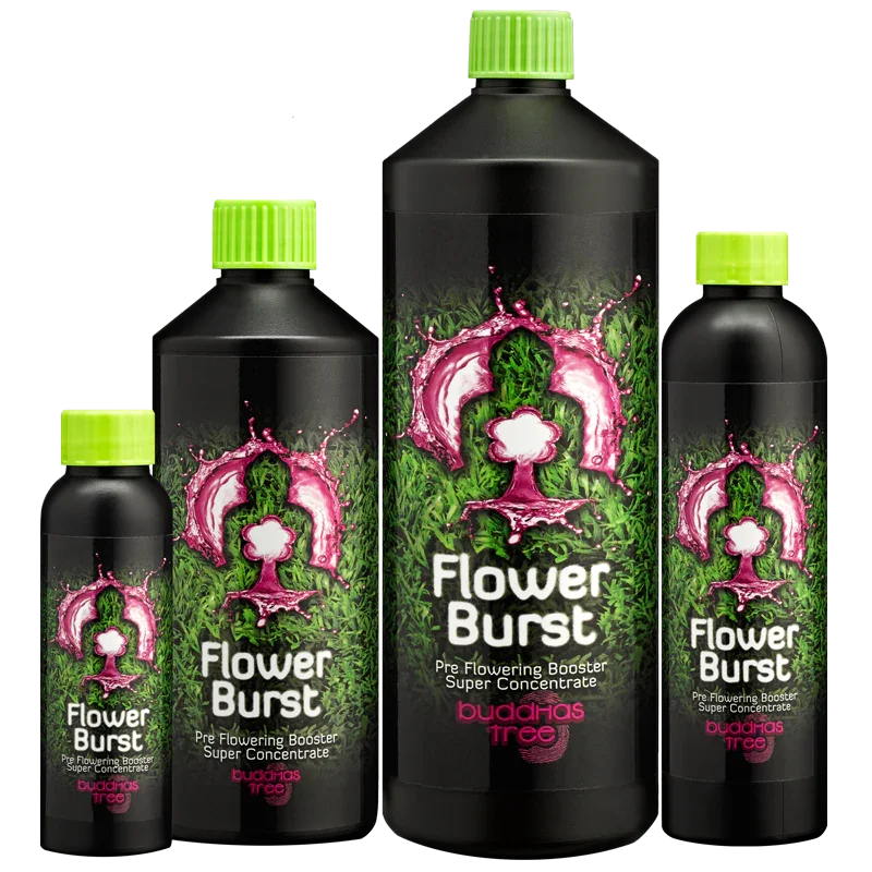 Buddha's Tree Flower Burst Buddha's Tree Flower Burst was made to ensure your plants' smooth transition from the growth